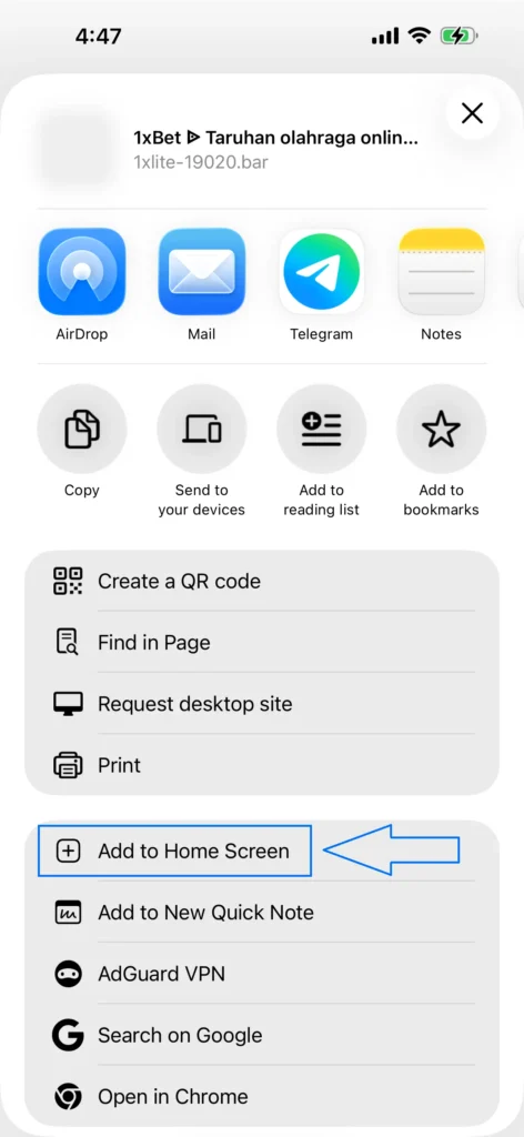 Dari daftar tersebut, Anda hanya perlu memilih satu opsi — Add to Home Screen.